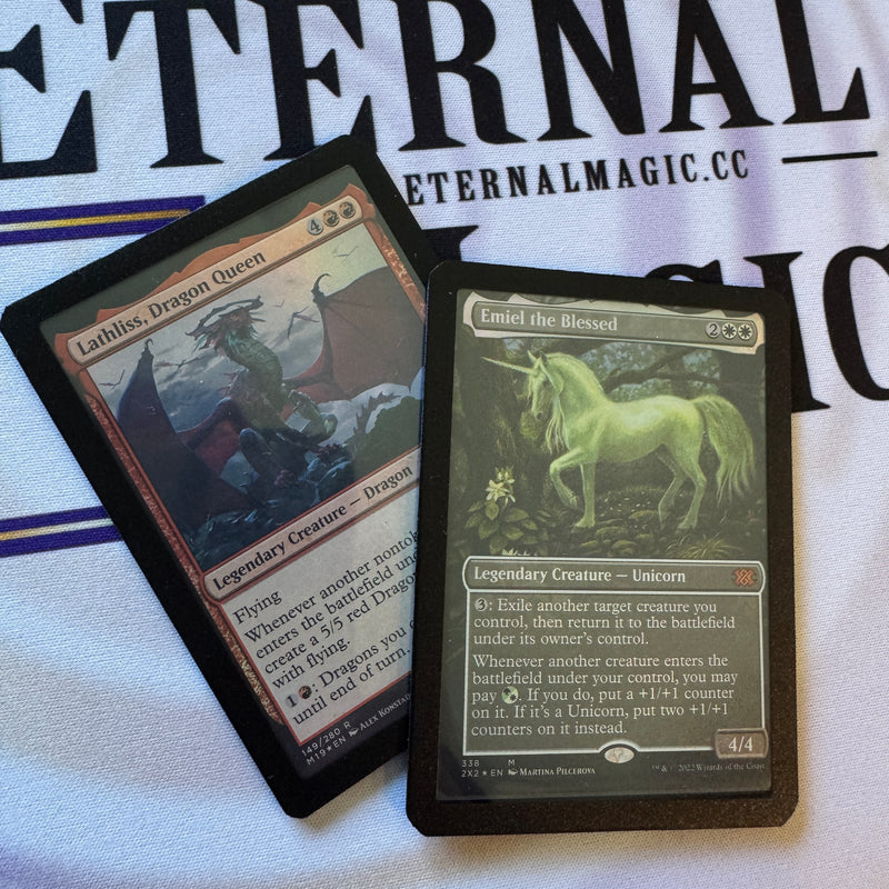 The Gard Stylish X Card Raftel : Leader Case